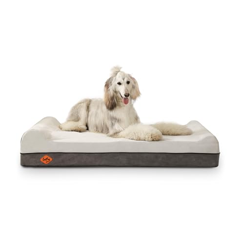 Orthopedic Dog Bed (50.0"L x 36.0"W x 10.0"Th / Dark Grey)
