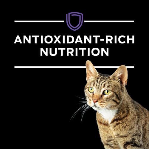 Purina Pro Plan Veterinary Diets HA Hydrolyzed Dry Cat Food (4 Pound (Pack of 1))