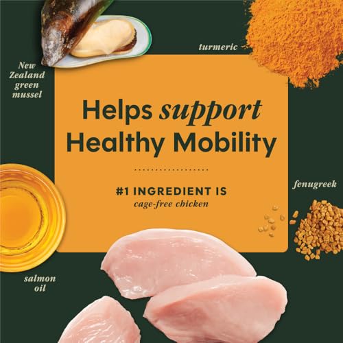Raw Boost Mixers Mobility Support Freeze (5.5 Ounce (Pack of 1))