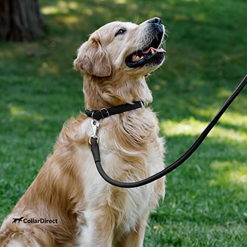 Tangle Free Rolled Leather Dog Collar (Black / M)