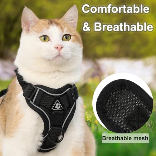 Cat Harness and Leash (Small / Hot Pink)