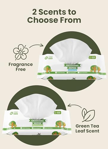 Pogi's Dog Wipes for Travel (120-count Travel Pack / Green Tea Leaf Scented)