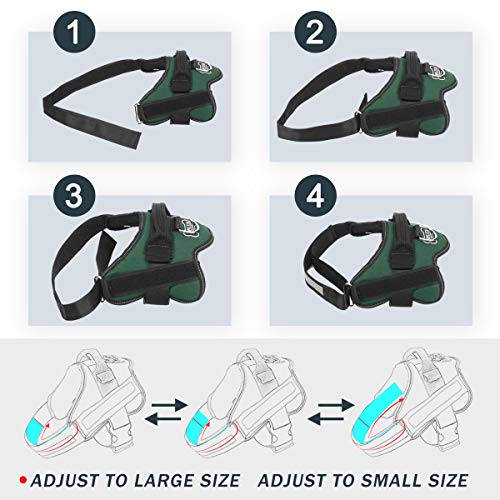 Dog Harness No (Small (Pack of 1) / Dark green)