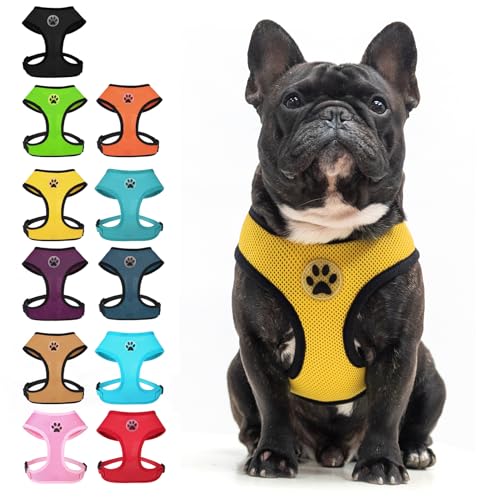 Small Dog Harness (XL (NECK: 20.5", CHEST: 20.5"-27") / Yellow)