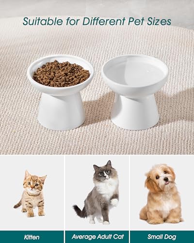 2 Pack 6.2" Wide Elevated Cat Bowls (White)