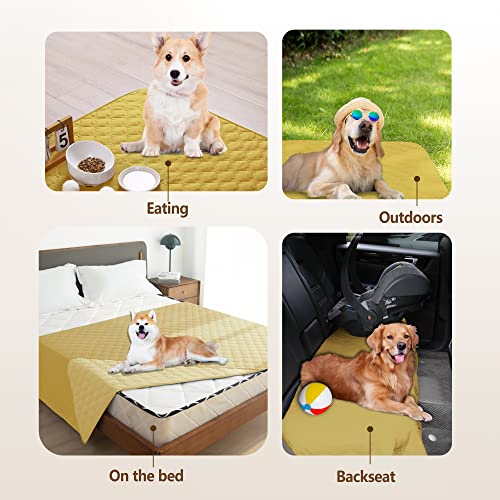 Waterproof Blanket (30x70 Inch (Pack of 1) / Dark Yellow/Light Yellow)