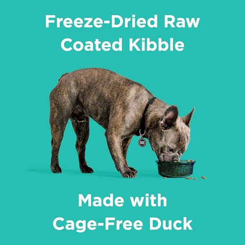 Rawbble Freeze