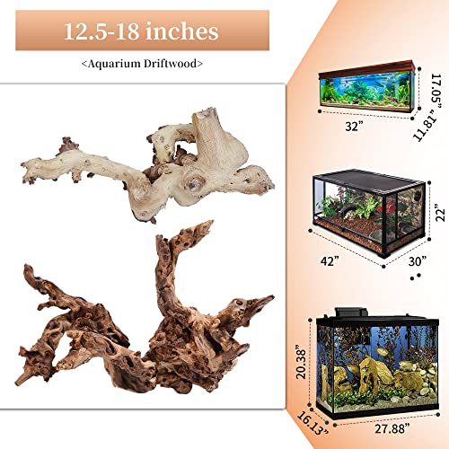 Natural Large Driftwood for Aquarium Decor Reptile Decor (Mopani Driftwood 12.5 to 18 Inch (Pack of 2))