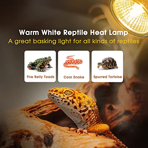 Reptile Heat Bulb 50W UVA UVB Reptile Light Bulbs Dimmable (Warm Bulb 50w / 2 Pack)