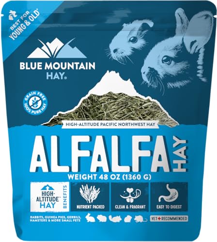Organic Alfalfa Hay for Small Pets (3 Pound (Pack of 1))