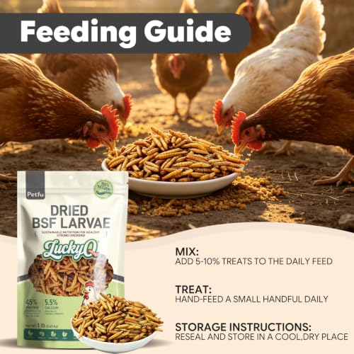 Dried Black Soldier Fly Larvae for Chickens Duck (1 Pound (Pack of 1))