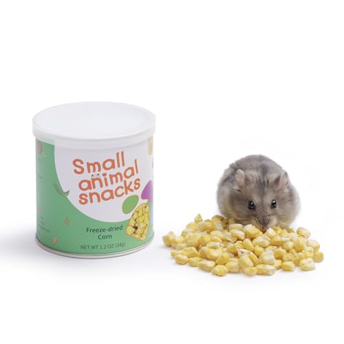 Hamster Snack & Treats Toy