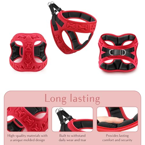 Comfort fit Step (S (Chest 14.5"-17") / Red)