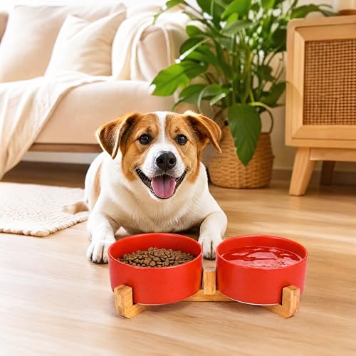 Dog Bowls Ceramic Cat Dog Bowl Set with Wood Stand for Food and Water (Rust Red / 400ML*2)