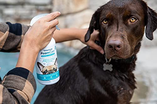 FoamCare Dog Shampoo and Conditioner (Shampoo + Conditioner)