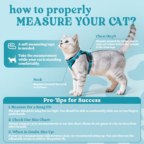 Cat Harness and Leash Set (S / Teal)