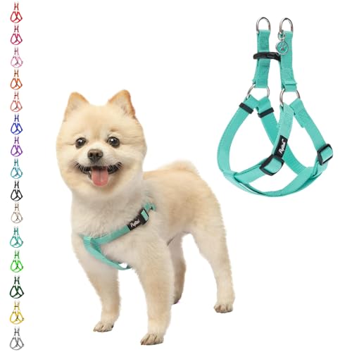No Pull Dog Harness Small Sized Step (Light Green / X-Small)