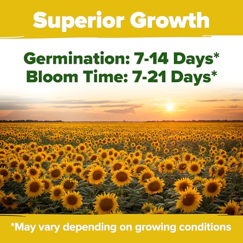 Sunflower Mix Seeds