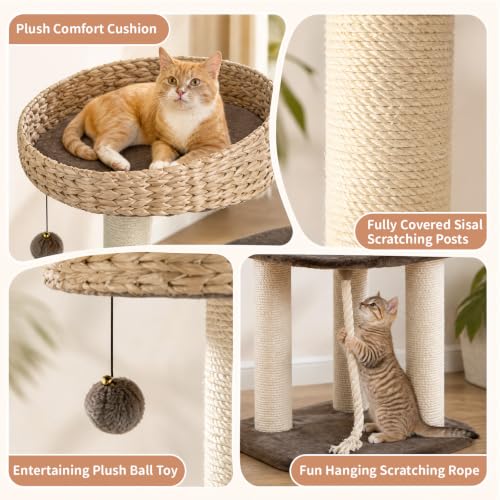 41 Inch Modern Cat Tree for Indoor Cats (41 inches / Coffee)