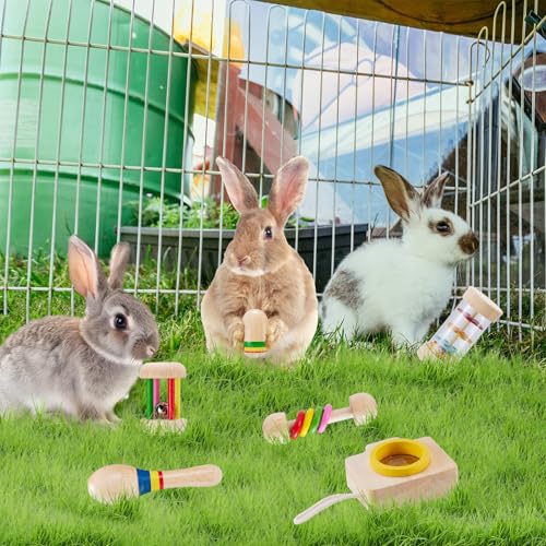 Wooden Bunny Toys