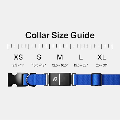 Series 3+ GPS Dog Collar & Tracker (Blue / X-Small)