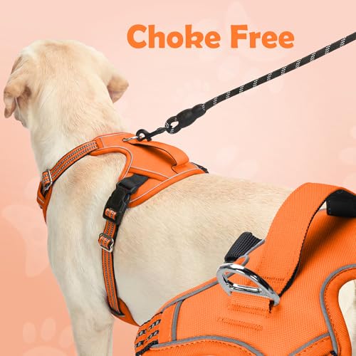 Dog Harness No Pull (Orange / Large)