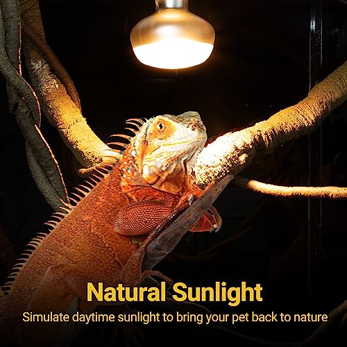 2 Pack Heat Lamp 150W (Natural Basking Light Bulb 150W)