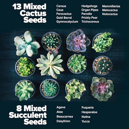 Succulent & Cactus Seed Starter Kit