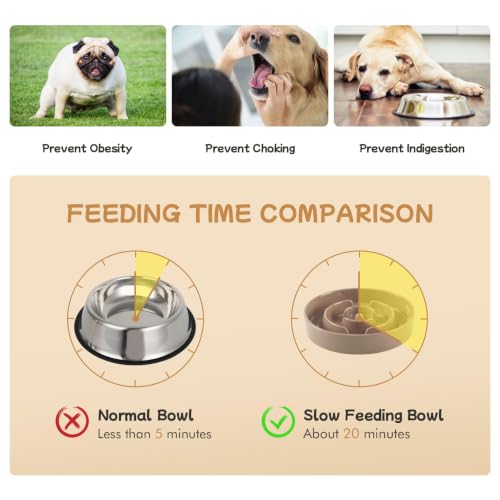 Elevated Slow Feeder Dog Bowls (Brown Coffee)