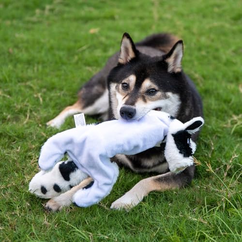 2-in-1 Stuffless Squeaky Dog Toy - Cow, Monkey, Small (Multicolor/Monkey & Cow / Small)