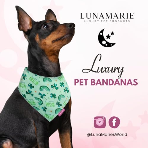 Luxury Pet Birthday Bandanas (A Wee Bit Irish / X-Small)