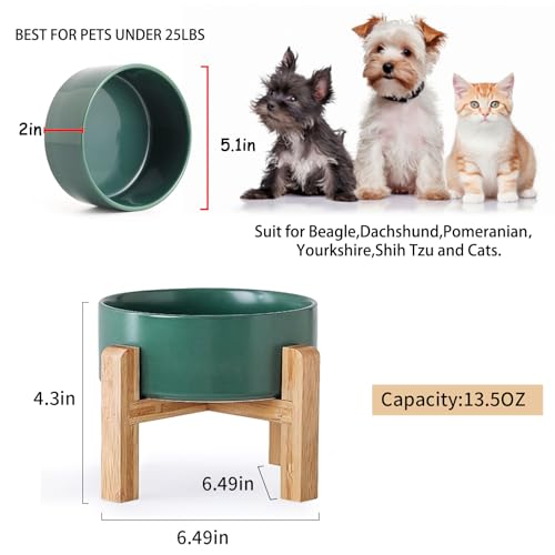 Green Elevated (Green / 1.7 Cups - Small)
