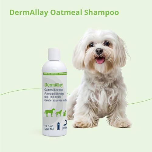 Oatmeal Shampoo for Dogs