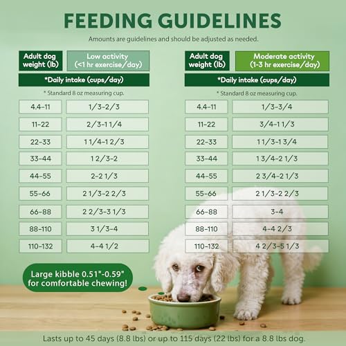 Superior Care Dry Dog Food (22 Pound (Pack of 1))