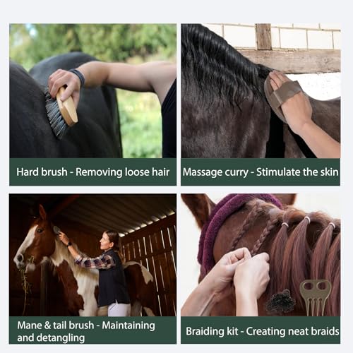 Horse Grooming Kit 13 Piece (Brown Green)