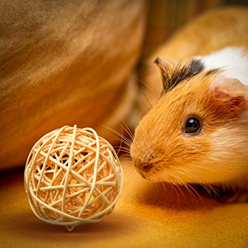8 Pcs Small Animals Play Balls Rolling Activity Chew Toys Gnawing Treats for Rabbits Guinea Pigs Chinchilla Bunny Natural Balls (8 Pcs+ Pine cone)