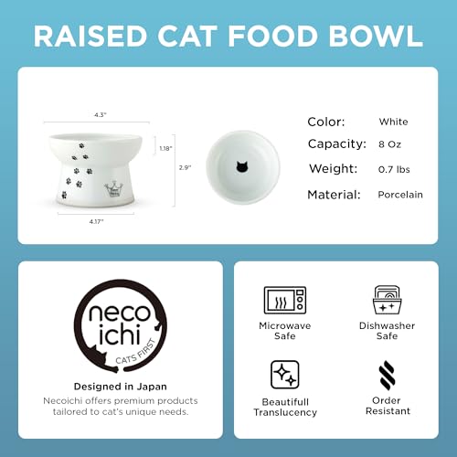 Necoichi Porcelain Ceramic Elevated Cat Food Bowl (Cat / Regular)