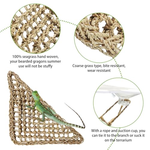 Bearded Dragon Hammock