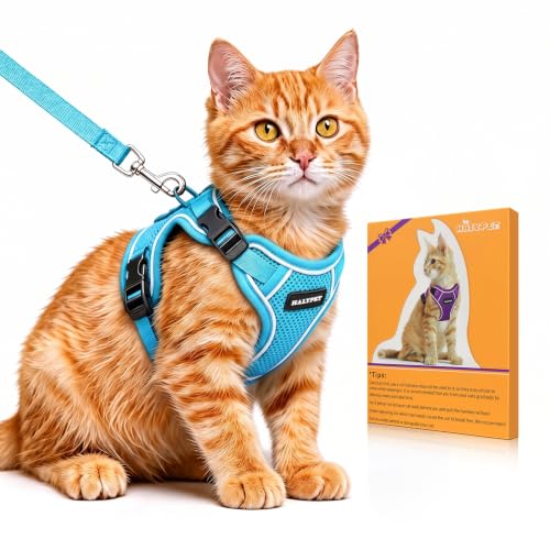 Cat Harness and Leash Set (Night Blue / Small (7-12lb))