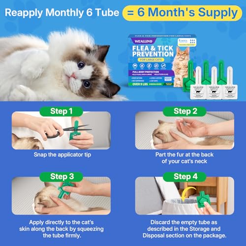 Flea and Tick Prevention for Large Cat