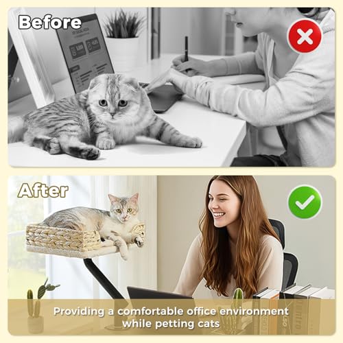 Cat Desk Bed for Indoor Cats (Beige)