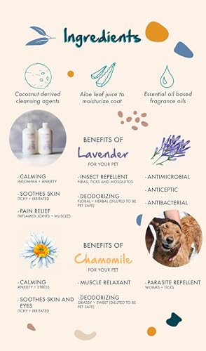 Shampoo and Conditioner Set