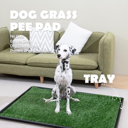 Dog Grass Pee Pads for Dogs with Tray (Medium - 31 x 21 inch)