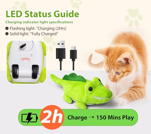 Interactive Cat Toys for Indoor Cats (Green)