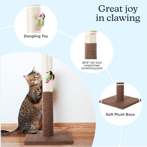 Cat Scratching Post (Brown)