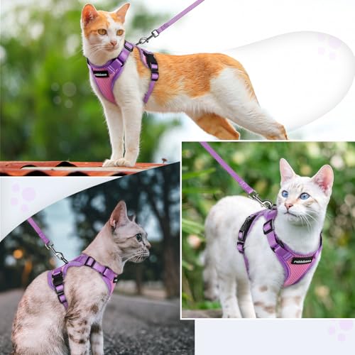 Cat Harness and Leash Set (Pink & Purple / Xs)