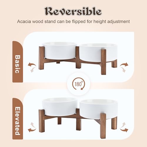 Ceramic Dog Bowls with Acacia Wood Stand (13.52 Oz / White)