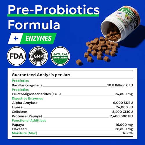 Probiotics for Dogs (Probiotic Chews / 240Ct Value Pack Bacon)