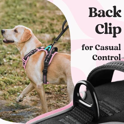 Dog Harness Medium Sized (Black & Pink / Medium)