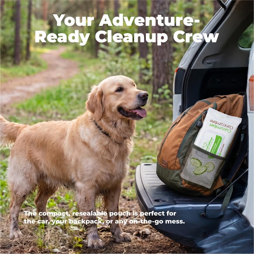 Cleaning Dog Wipes (Calming Lavender / 100 Count)